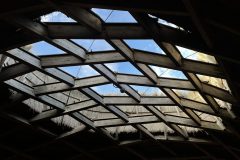 IMG_6573