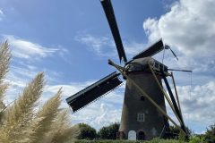 IMG_6833