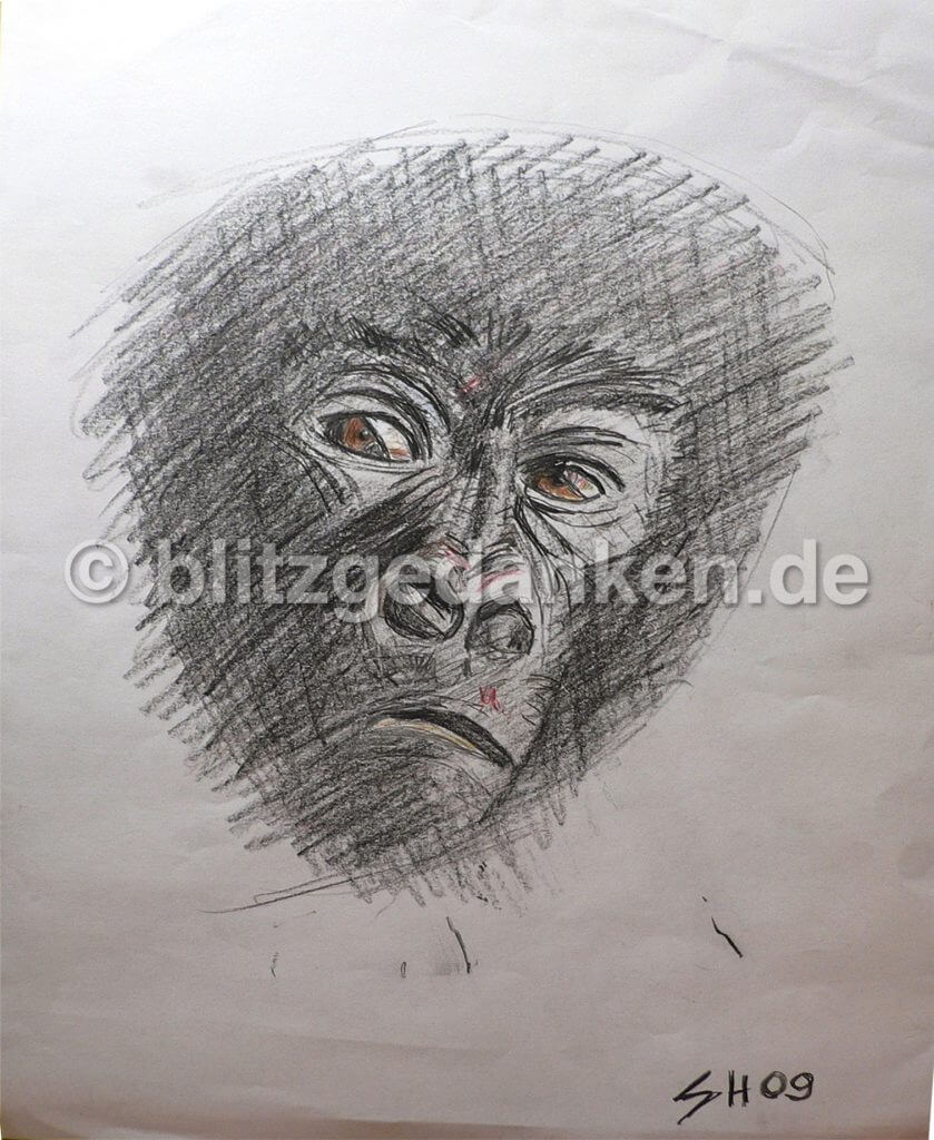 Bleistiftzeichnung Gorilla