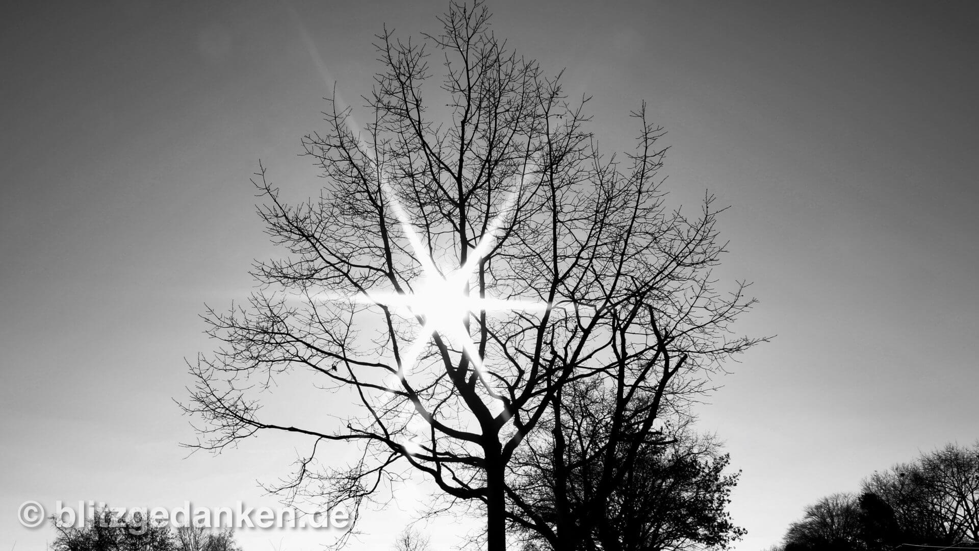 Sonne