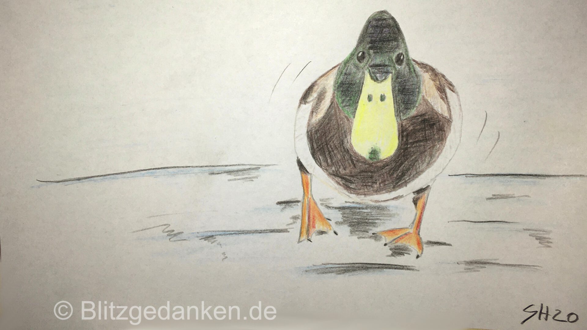 Ente auf dem Eis