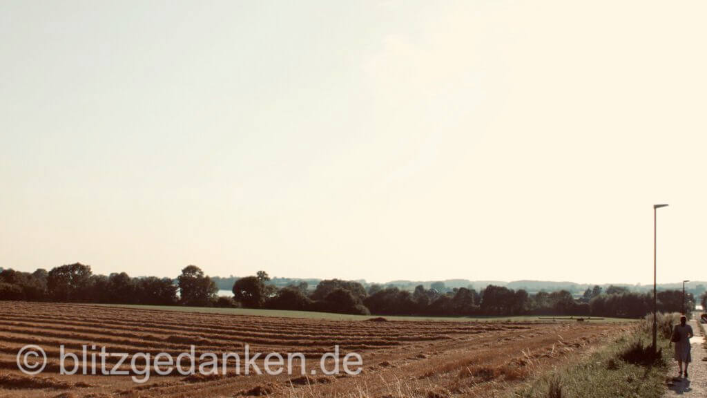 Frau am Feld