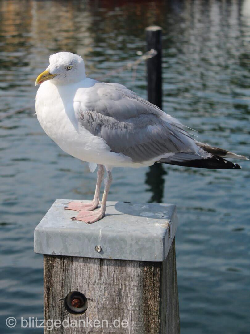 Am Hafen