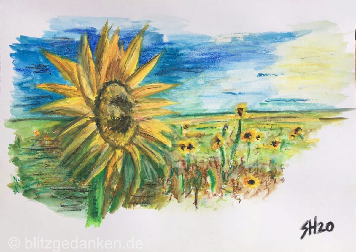 Sonnenblume