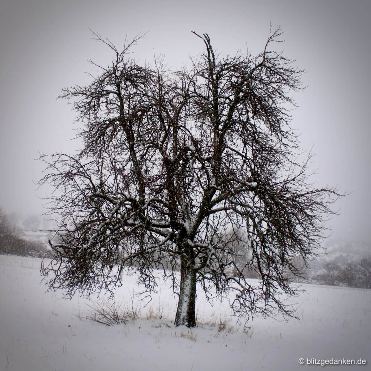 Winterfreuden