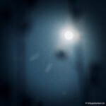 Vollmond