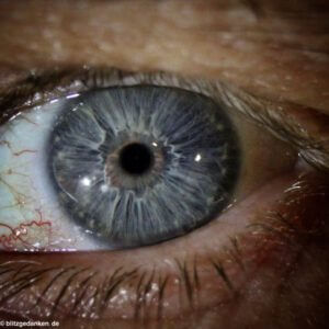 Das blaue Augen eines Menschen