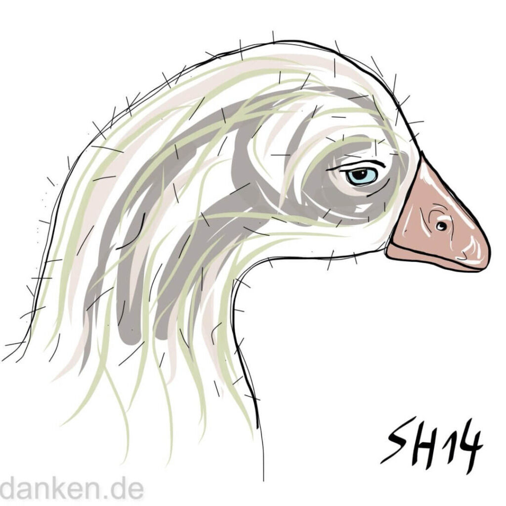 Gans